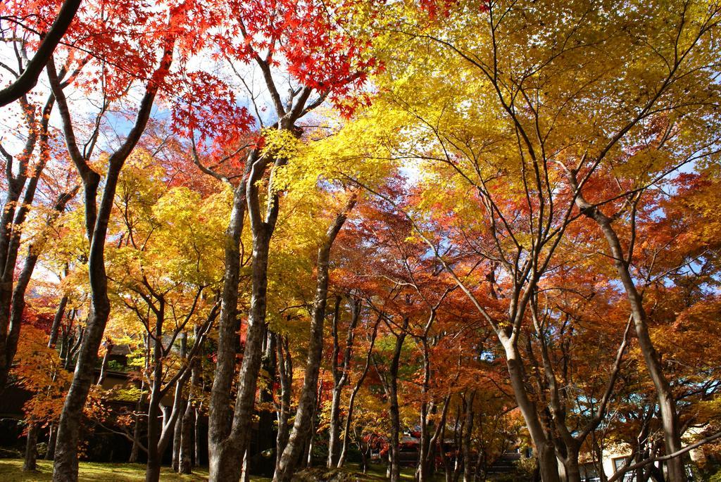 Yutorelo-An Annex Hakone Exterior photo